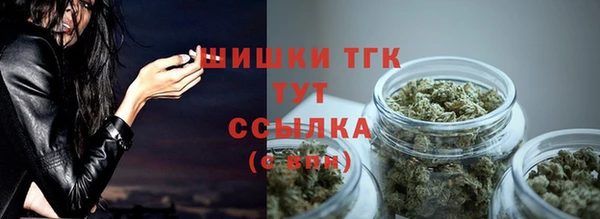 PSILOCYBIN Верхний Тагил