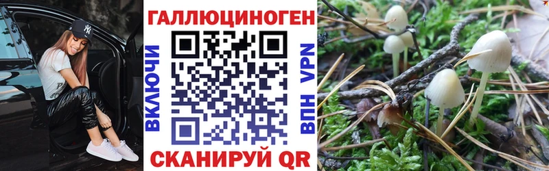 Галлюциногенные грибы Psilocybe  Купить  Макушино 