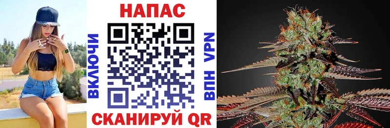 Купить где  Макушино  МАРИХУАНА семена 